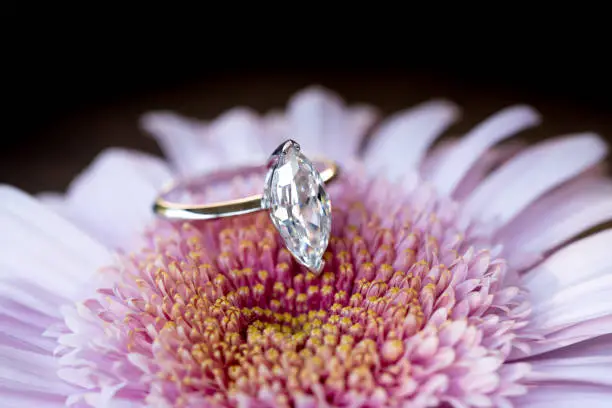 Timeless Elegance Found in Every Lily Arkwright Engagement Ring