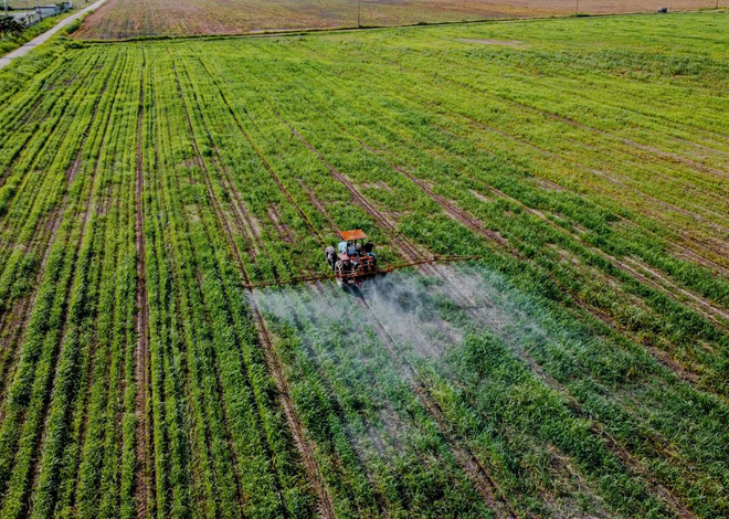 Smart Farming Ways to Improve Farm Efficiency and Productivity